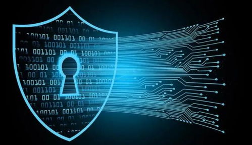 信息系統集成服務中的個人信息自決權 民法典第111條的視角